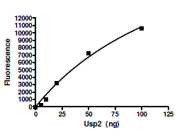 USP2 (E. coli) active human recombinant protein