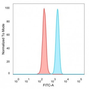 Anti-BATF3 / SNFT, clone PCRP-BATF3-1E5