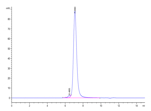 Biotinylated Cynomolgus CD3E&amp;CD3G/CD3 epsilon&amp;CD3 gamma Protein (Primary Amine Labeling)