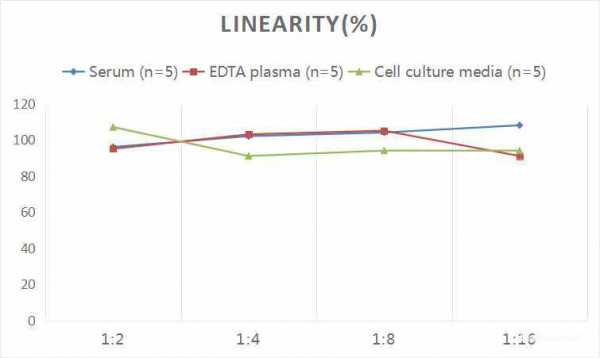 Rat MIP-3alpha (Macrophage Inflammatory Protein 3 Alpha) CLIA Kit