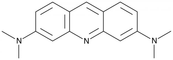 Acridine Orange