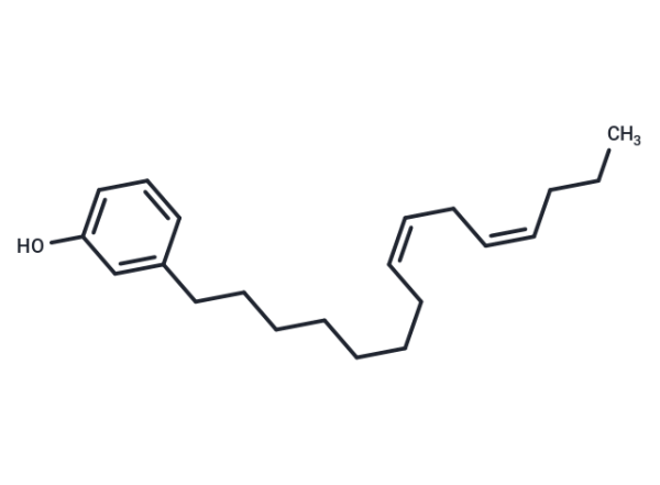 Cardanol diene