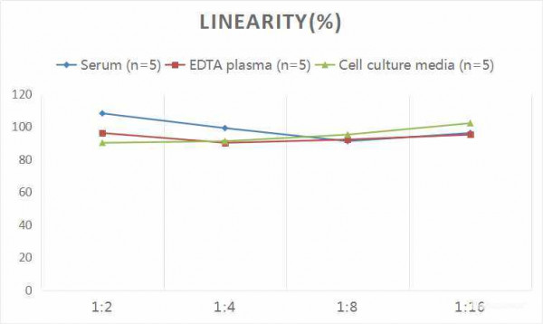 Rat IGFBP-4 (Insulin-Like Growth Factor Binding Protein 4) CLIA Kit