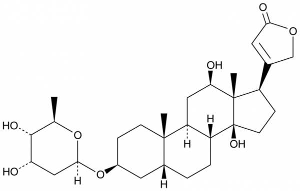 Digoxigenin Monodigitoxoside