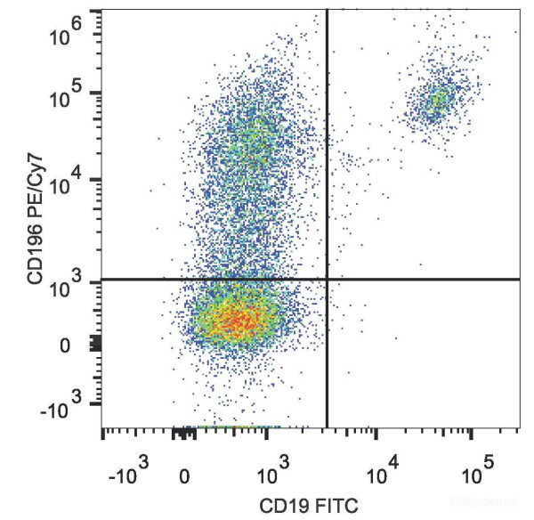 Anti-Human CD196/CCR6 (PE/Cy7 Conjugated)[G034E3], clone G034E3