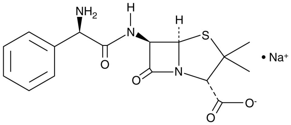 Ampicillin (sodium salt) | CAS 69-52-3 | Cayman Chemical | Biomol.com