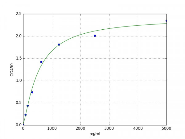 Human P2RY1(PURINERGIC RECEPTOR P2Y, G PROTEIN) ELISA Kit