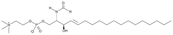 Sphingomyelin (porcine RBC)