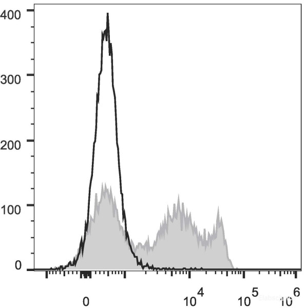 Anti-Rat CD8a (FITC Conjugated)[OX-8], clone OX-8