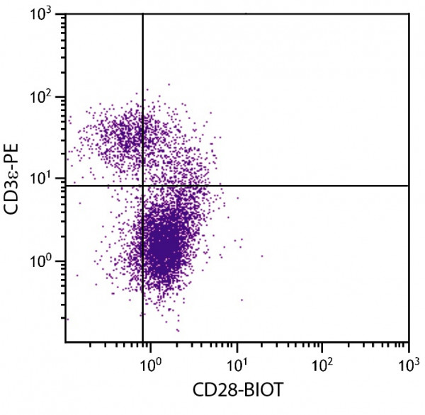 Anti-CD28 (Biotin), clone 37.51