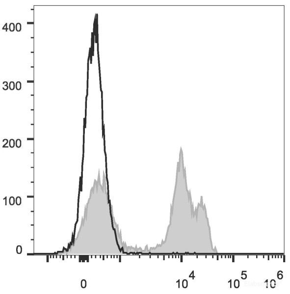 Anti-Rat CD8a (PE Conjugated)[OX-8], clone OX-8