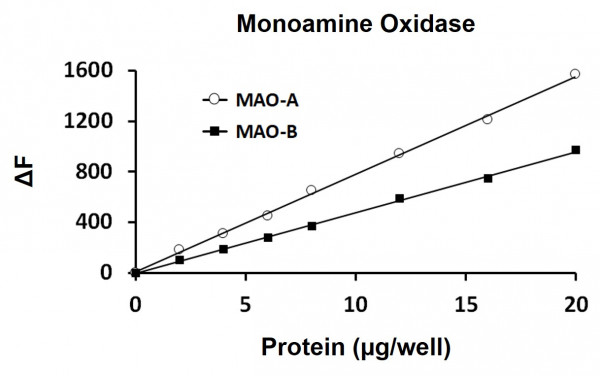 Monoamine Oxidase Activity Assay Kit (Fluorometric)