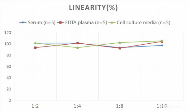 Mouse C-P (C-Peptide) CLIA Kit