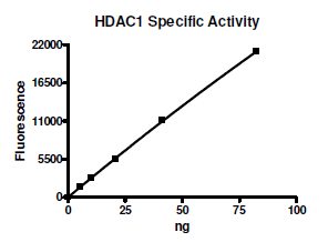 HDAC-1, active human recombinant protein