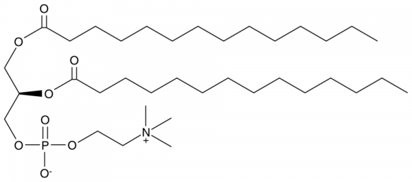 1,2-Dimyristoyl-sn-glycero-3-PC