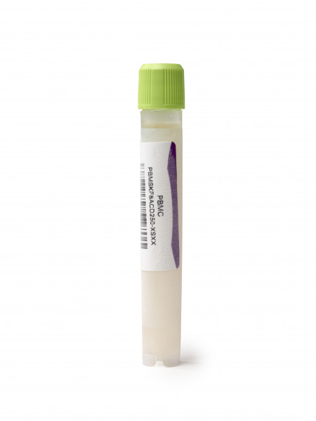 Frozen human peripheral blood mononuclear cells (PBMC) from whole human blood in CPD - female donor