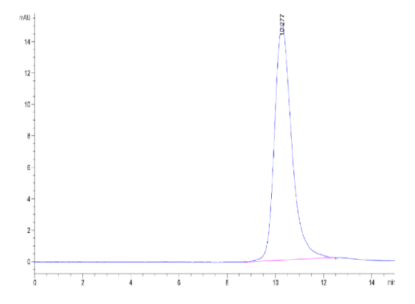 SARS-CoV-2 Spike RBD (Omicron BA.2.38) Protein