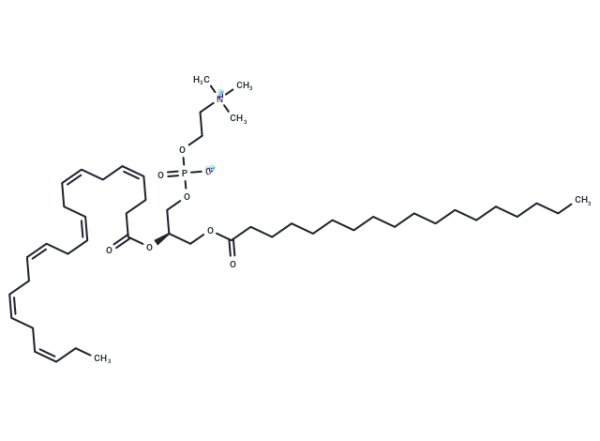 1-Stearoyl-2-docosahexaenoyl-sn-glycero-3-PC