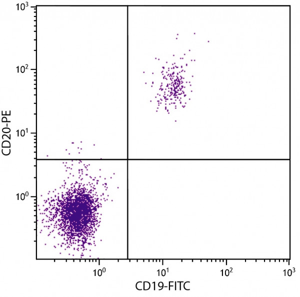 Anti-CD19 (FITC), clone SJ25-C1