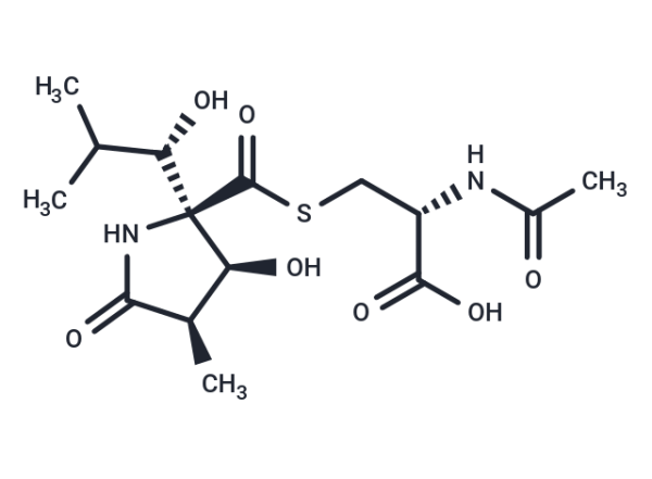 Lactacystin