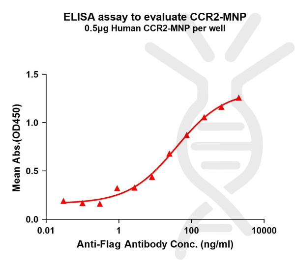 CCR2 (human) full length protein-MNP