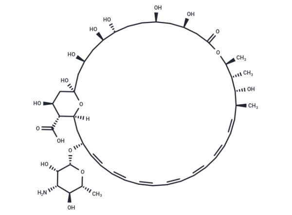 Amphotericin B