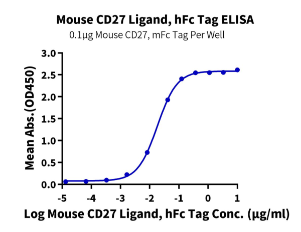 Mouse CD27 Ligand/CD70 Protein