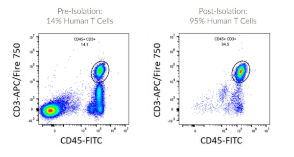 Human T Cell Leukopak Isolation Kit