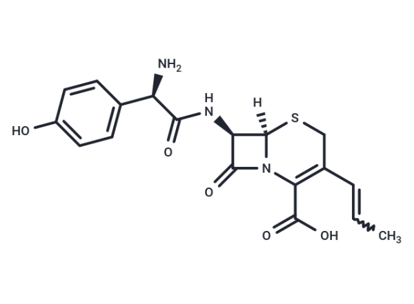 Cefprozil