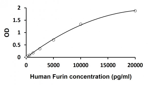 Human Furin ELISA Kit