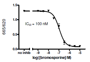 TAF1 (BD2) TR-FRET Assay Kit