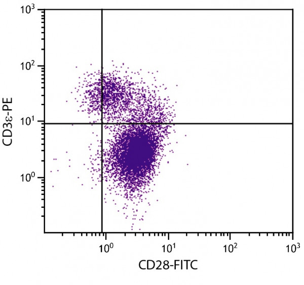 Anti-CD28 (FITC), clone 37.51
