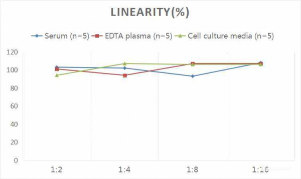 Rat OPG (Osteoprotegerin) CLIA Kit