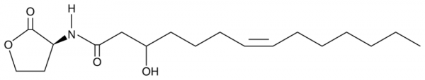 N-(3-hydroxy-7-cis tetradecenoyl)-L-Homoserine lactone
