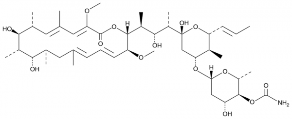 Concanamycin B