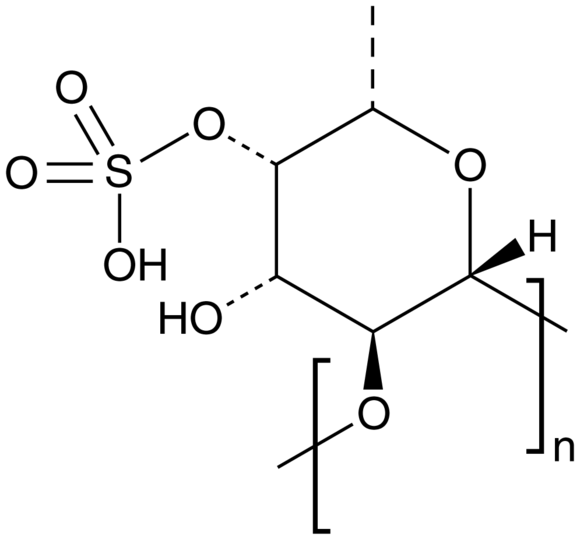 Fucoidan