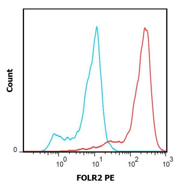 Anti-FOLR2 (PE), clone EM-35