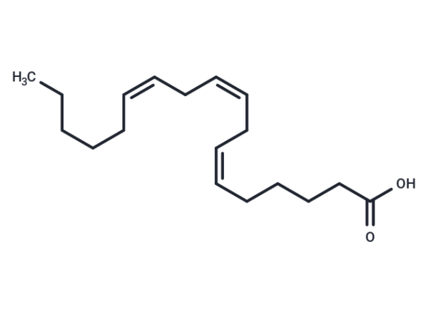 gamma-Linolenic acid