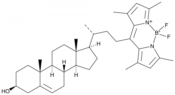 BODIPY 480/508-Cholesterol