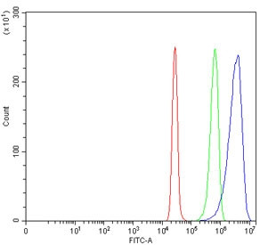 Anti-Integrin alpha 3 / ITGA3