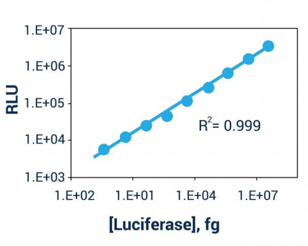 Luciferase Reporter Gene Assay Kit