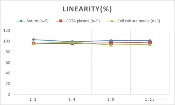 MS Mouse CTSS (Cathepsin S) ELISA Kit