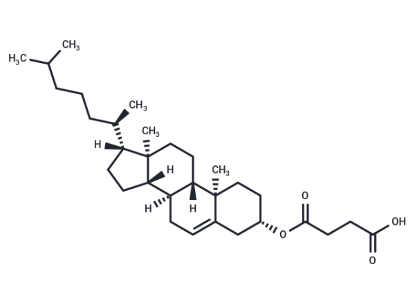 Cholesteryl Hemisuccinate