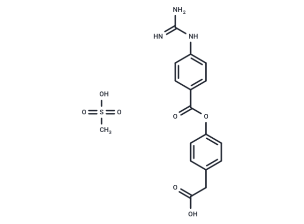 FOY 251