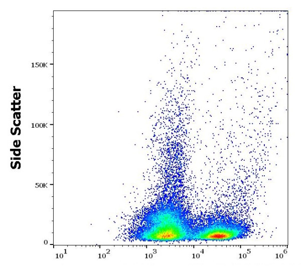 Anti-CD19, clone 1D3