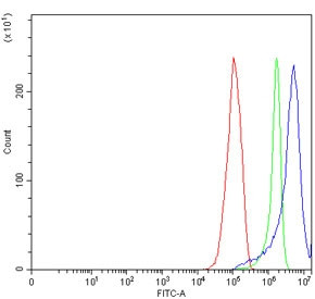 Anti-HCLS1 / Hematopoietic lineage cell-specific protein