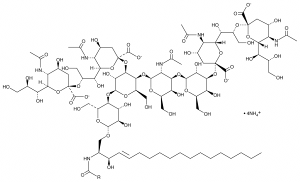 Ganglioside GQ1b (porcine) (ammonium salt)