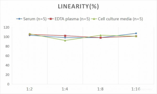 Mouse IFN-beta (Interferon Beta) CLIA Kit