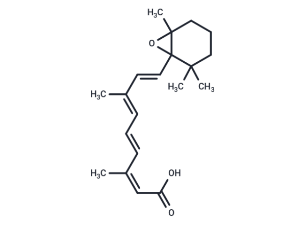 5,6-epoxy-13-cis Retinoic Acid