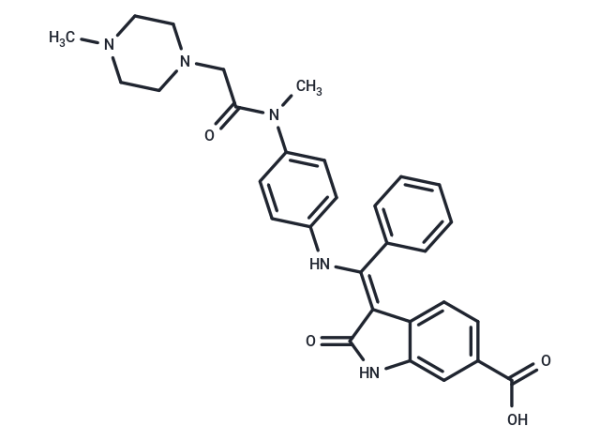 BIBF 1202